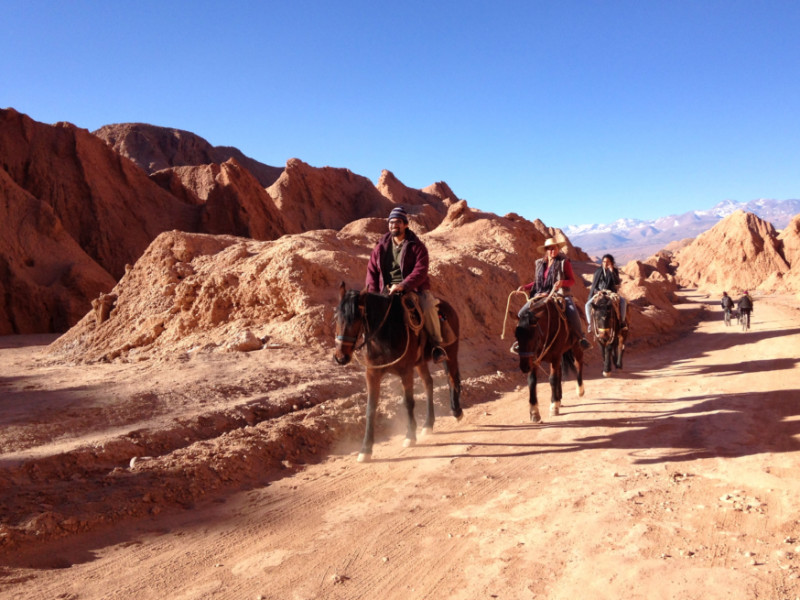 Atacama-desert-valle-del-marte-transport-horses