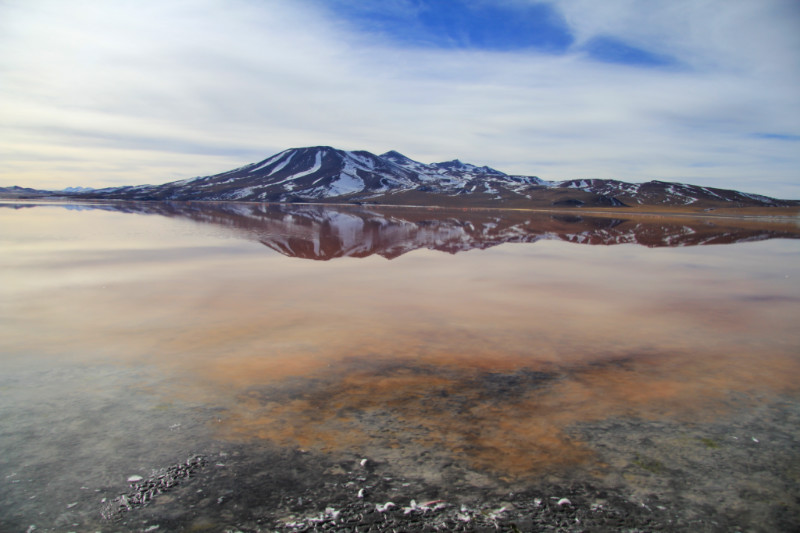 Bolivia salt flats_laguna colorada_lake